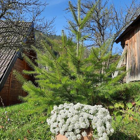 Villa Vikendica Neven Zaovine Exterior foto