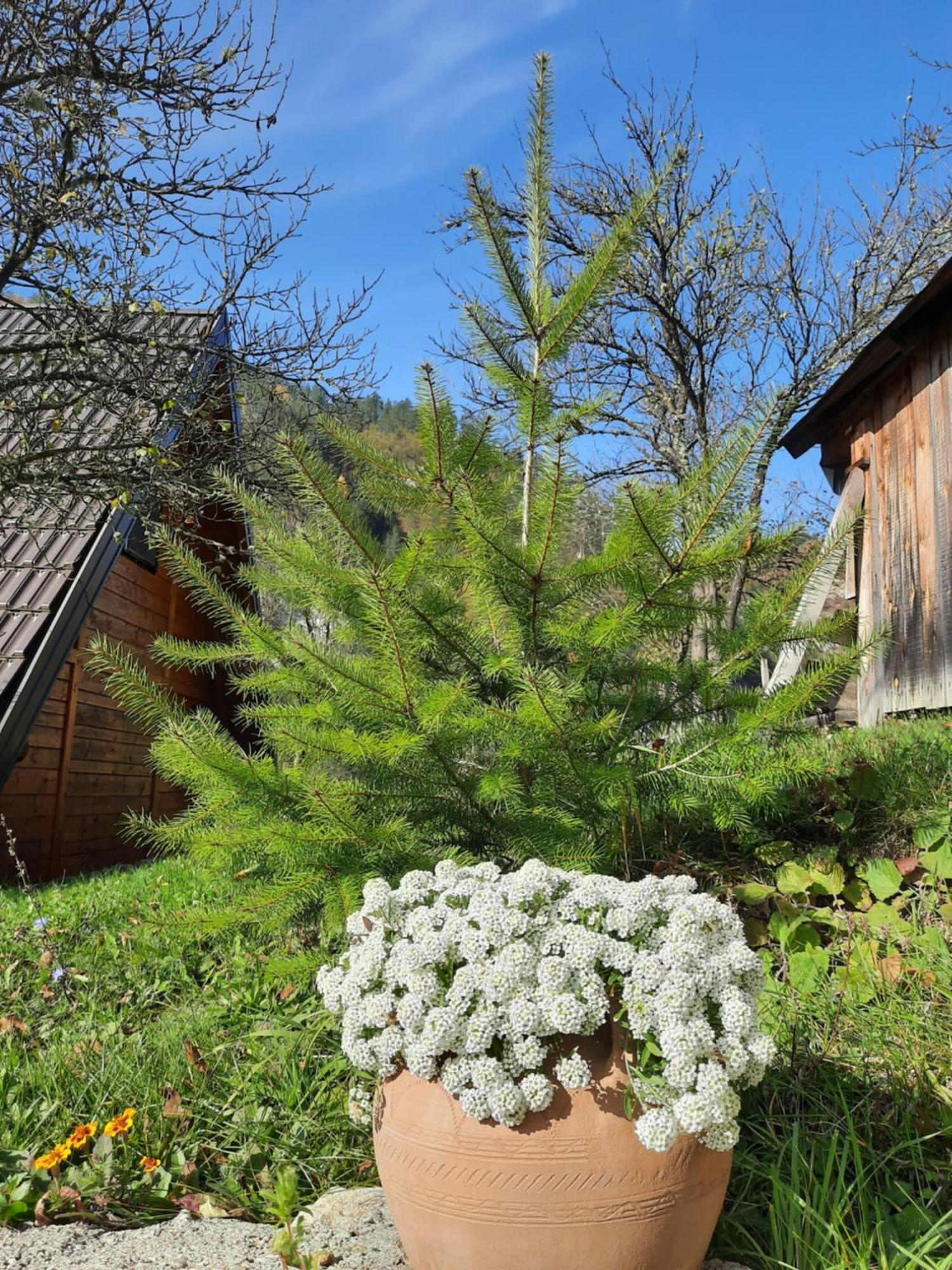 Villa Vikendica Neven Zaovine Exterior foto