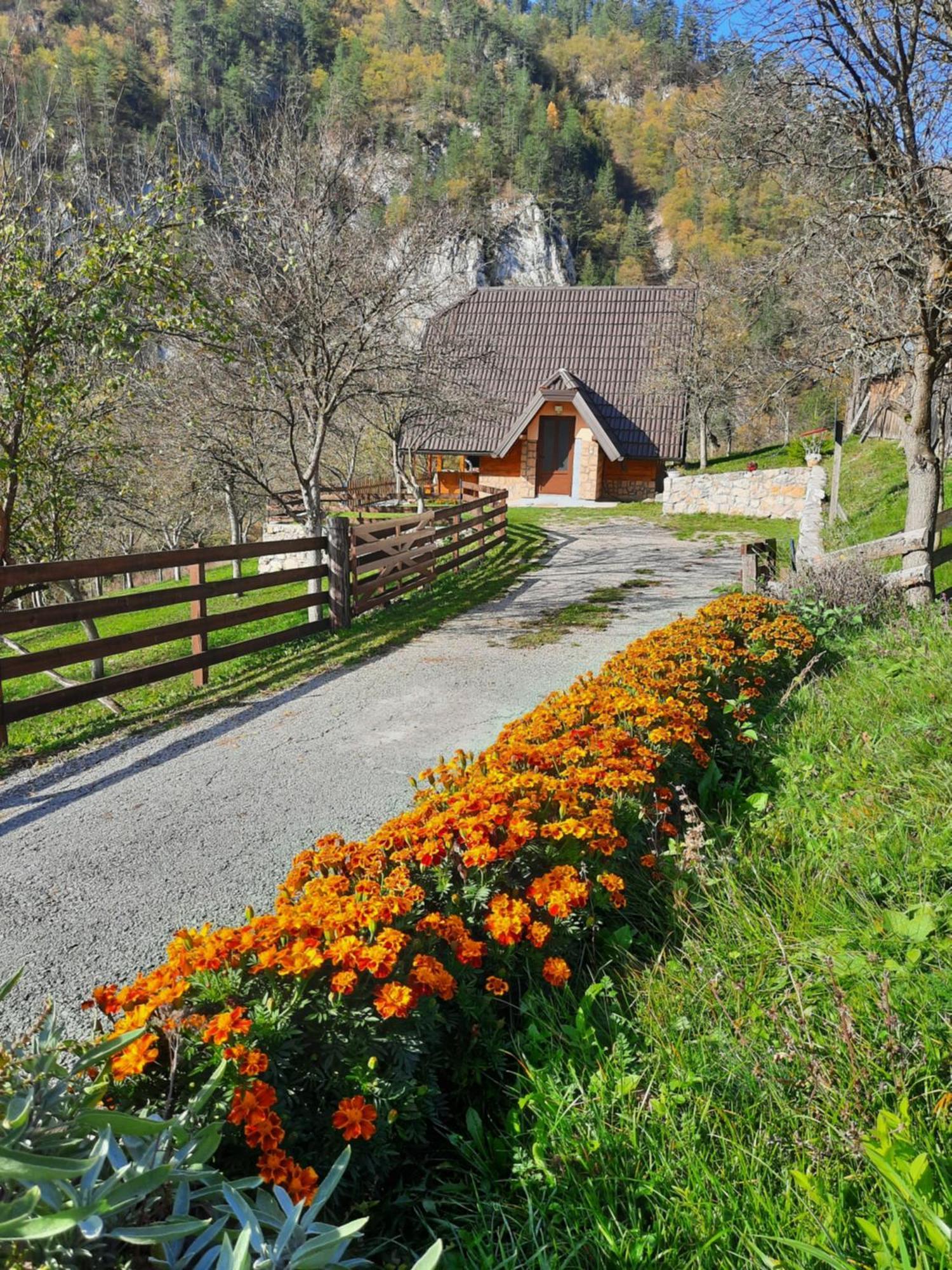 Villa Vikendica Neven Zaovine Exterior foto
